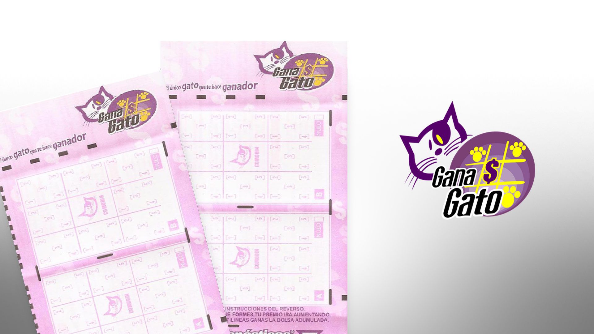 La Lotería Nacional realiza el sorteo de Gana Gato tres días por semana: cada martes, jueves y sábados (Infobae/Jovani Pérez)