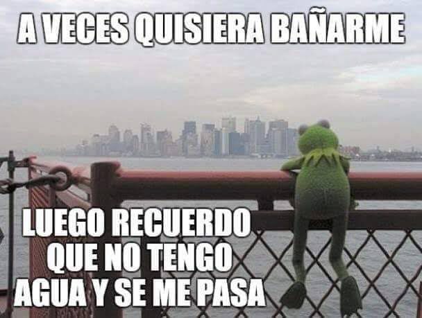 Ranita triste junto al lago, reflexión sobre el corte de agua y su importancia | Crédito: Infobae Perú.