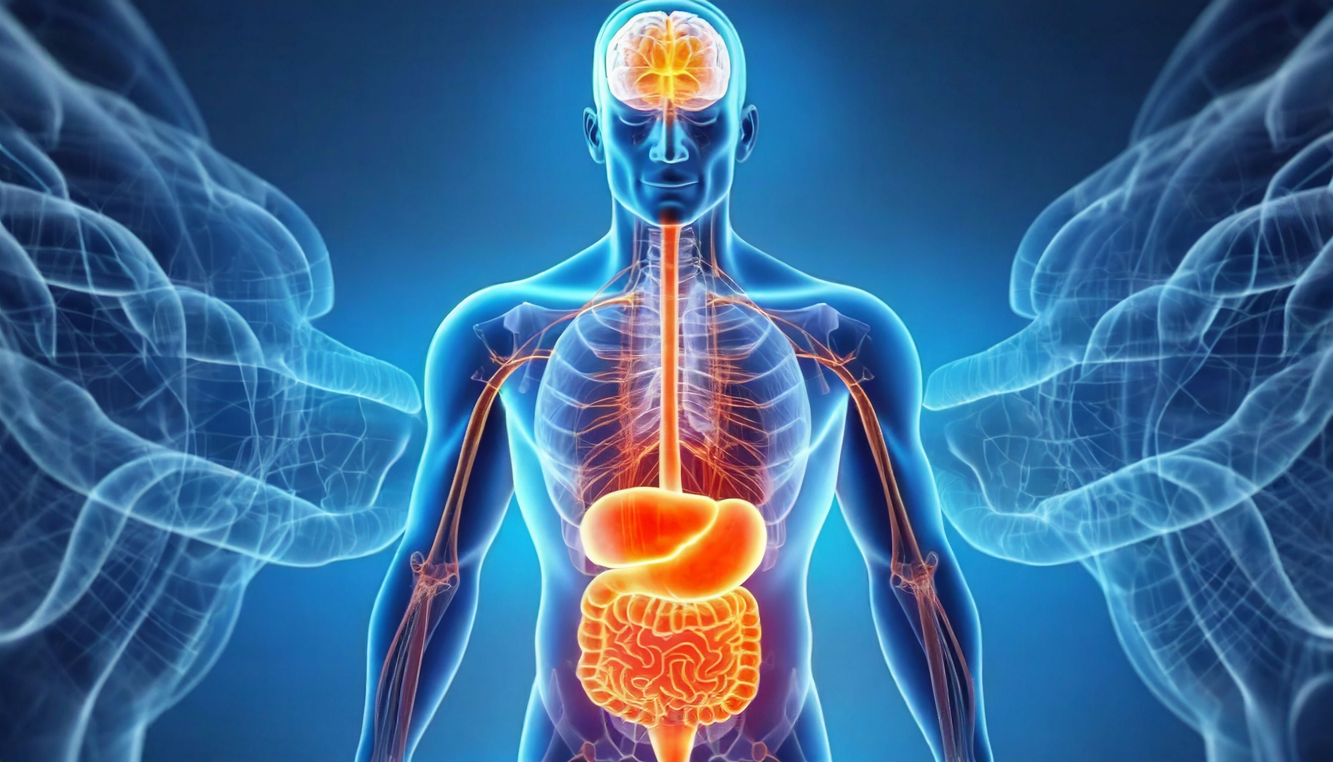 La especialista plantea la capacidad única de las dietas cetogénicas para curar, proteger y revitalizar el cerebro en situaciones en las que el metabolismo cerebral se ve comprometido  (Imagen Ilustrativa Infobae)