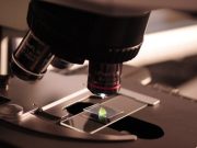 ¿Qué enseñanzas deja a Colombia el nobel de Economía que destaca trabajos en innovación tecnológica?