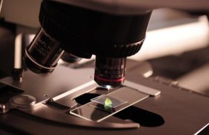 ¿Qué enseñanzas deja a Colombia el nobel de Economía que destaca trabajos en innovación tecnológica?
