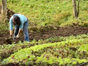 Congresistas y líderes bogotanos promueven la derogatoria del artículo 32 del PND