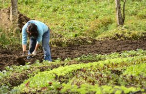 Congresistas y líderes bogotanos promueven la derogatoria del artículo 32 del PND