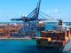 Según Dane, en agosto exportaciones agrícolas aumentaron 49,3 %