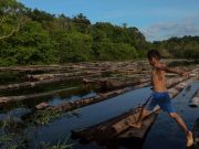 Parlamentarios de siete países presentan en Brasilia un informe sobre el impacto de los combustibles fósiles en la Amazonía