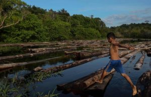 Parlamentarios de siete países presentan en Brasilia un informe sobre el impacto de los combustibles fósiles en la Amazonía