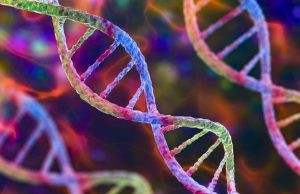 Descubren cambios en el ADN que explican la inflamación crónica de las arterias a partir de los 50 años