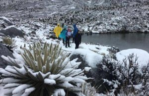 Minambiente presentará proyecto para armonizar actividades campesinas y conservación ambiental en El Cocuy