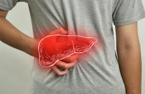 Identifican una proteína como posible diana terapéutica para prevenir el graso