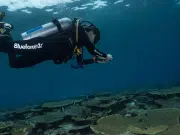 Tras la muerte de una turista en Santa Marta, experto aclara qué se debe tener en cuenta para bucear con seguridad
