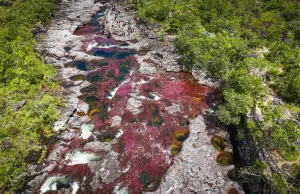Todo lo que debe saber para visitar Caño Cristales, la joya de La Macarena (Meta) durante 2025: este es el destino natural que enamora a extranjeros