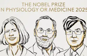 Los guardianes del sistema inmune: el hallazgo que cambió la forma de entender las enfermedades autoinmunes y se llevó el Nobel de Medicina 2025