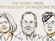 Nobel de Medicina 2025 premia a Mary Brunkow, Fred Ramsdell y Shimon Sakaguchi, tres investigadores del sistema inmunitario