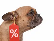 El vínculo entre los animales de compañía y la publicidad