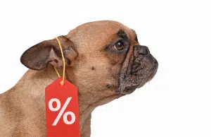 El vínculo entre los animales de compañía y la publicidad