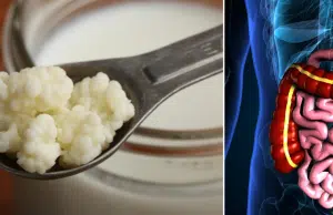‘Oro blanco’: este es el alimento milenario que ayuda a restaurar la flora intestinal; es bueno para la salud digestiva, inmunológica y metabólica