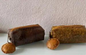 Innovación sostenible: jóvenes colombianos convierten desechos de frutas en monederos ecológicos