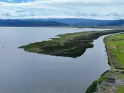 En Cundinamarca, una de las plantas invasoras más agresivas del mundo se convertirá ahora en abono orgánico gracias a una planta de compostaje