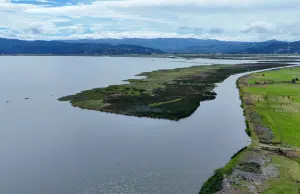 En Cundinamarca, una de las plantas invasoras más agresivas del mundo se convertirá ahora en abono orgánico gracias a una planta de compostaje
