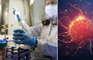Científicos descubren que la proteína secretada por una bacteria puede destruir células cancerosas: así actúa