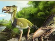 Hallan en La Tatacoa el fósil de la segunda ‘ave del terror’, un depredador gigante de casi tres metros: ¿Qué significa este registro para la ciencia?