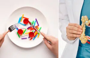 Los microplásticos afectan el intestino: estudio revela que podrían alterar el microbioma y aumentar riesgos de enfermedades