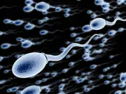 Investigadores de Harvard descubren decenas de genes que generan mutaciones en el esperma y pueden afectar a los hijos