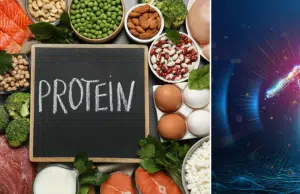Las tres ‘superfuentes’ de proteína que no pueden faltar en su dieta: claves para reconstruir músculos, tejidos y células
