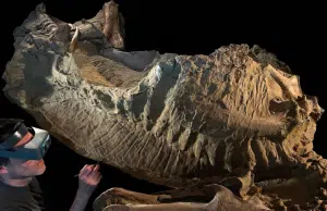 Misterio resuelto: fósiles ‘momificados’ revelan el aspecto real de un dinosaurio de hace 66 millones de años