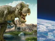 Los dinosaurios ‘no estaban condenados a desaparecer’ y no estaban en un declive que los hiciera vulnerables a la extinción, según reveló estudio