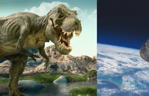 Los dinosaurios ‘no estaban condenados a desaparecer’ y no estaban en un declive que los hiciera vulnerables a la extinción, según reveló estudio