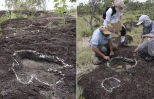 Investigadores descubren huellas de dinosaurios en la Amazonia brasileña: ‘Se han identificado seis géneros’