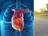 ¿Cuántos pasos necesita dar al día para disminuir los riesgos de sufrir problemas cardiovasculares? Estudio arroja una nueva respuesta