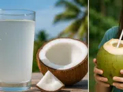 Cuáles son los beneficios de tomar agua de coco a diario: una bebida con pocas calorías y sin grasas