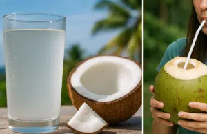 Cuáles son los beneficios de tomar agua de coco a diario: una bebida con pocas calorías y sin grasas