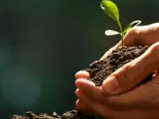 Colombia avanza hacia la creación de Áreas de Vida: la ley que impulsa a las empresas a sembrar dos árboles por cada empleado
