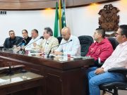 Con tutela, gobernador y alcaldes de Oriente buscan superar la suspensión de consulta sobre área metropolitana