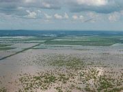 Aumentan a 44 los muertos por lluvias en México