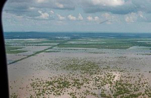Aumentan a 44 los muertos por lluvias en México