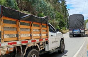 Bloqueos en la vía Buenaventura: afectan el ingreso de gas