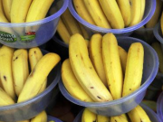 Cayó carga de narco bananos en Santa Marta: había 225 kilos de cocaína