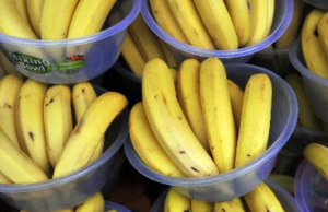 Cayó carga de narco bananos en Santa Marta: había 225 kilos de cocaína