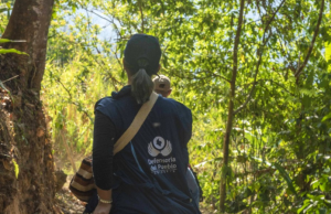 Defensoría solicita ayuda urgente para desplazados en Antioquia
