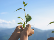 Envigado lanza programa de crecimiento empresarial verde