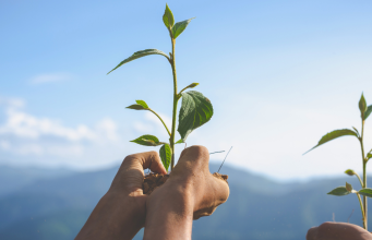 Envigado lanza programa de crecimiento empresarial verde