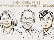 Nobel de Medicina a Brunkow, Ramsdell y Sakaguchi por estudios de tolerancia inmune