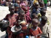 ONU alerta crisis: casi 6 millones de personas desnutridas en Haití