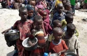 ONU alerta crisis: casi 6 millones de personas desnutridas en Haití