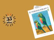 Los pinceles de Susana Jaramillo
