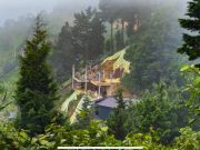 Suspenden obras irregulares en suelo de protección ambiental en Altavista